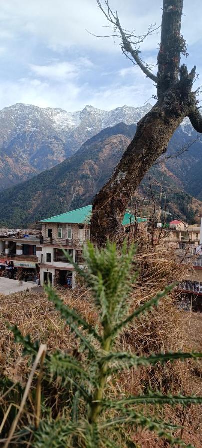 Sahaj Homestay Naddi Дармсала Экстерьер фото