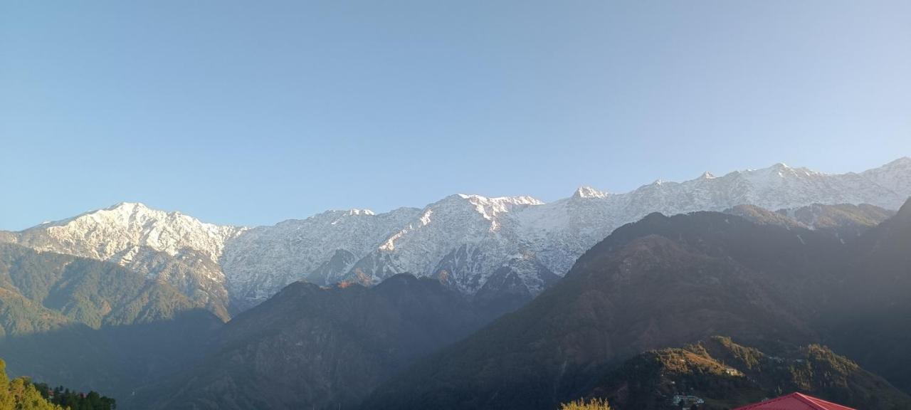 Sahaj Homestay Naddi Дармсала Экстерьер фото