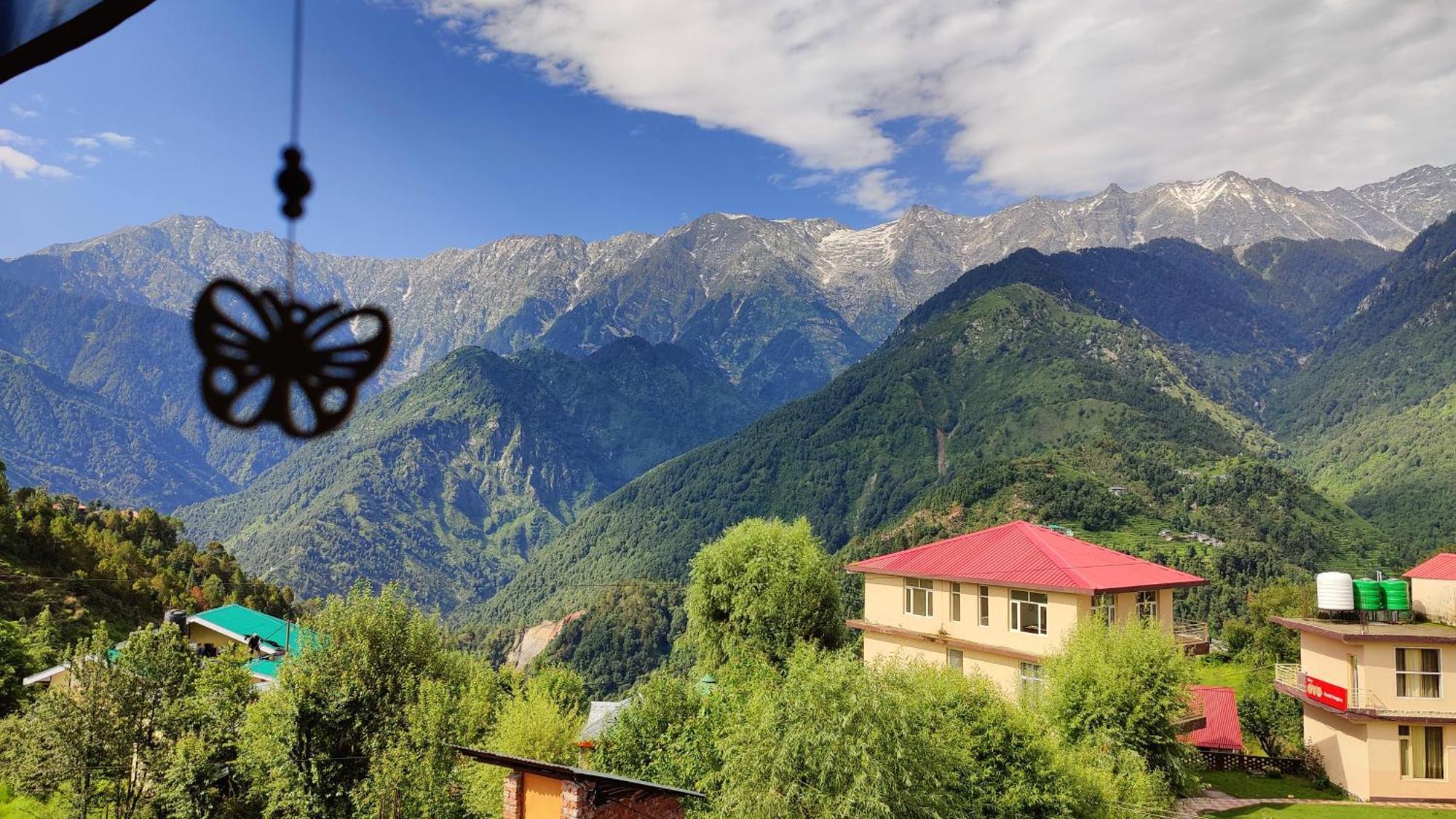 Sahaj Homestay Naddi Дармсала Экстерьер фото